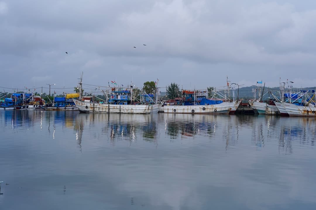 Harbor fishing boats
